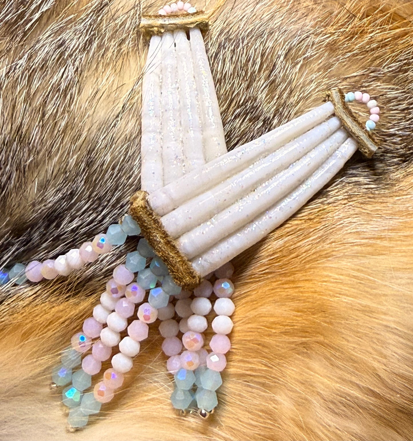 Trans pride Dentalium shell earrings 🏳️⚧️